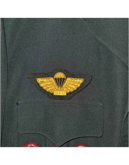 DFU Faldskærmsvinge, Guldbroderi til Udgangsuniform M/69