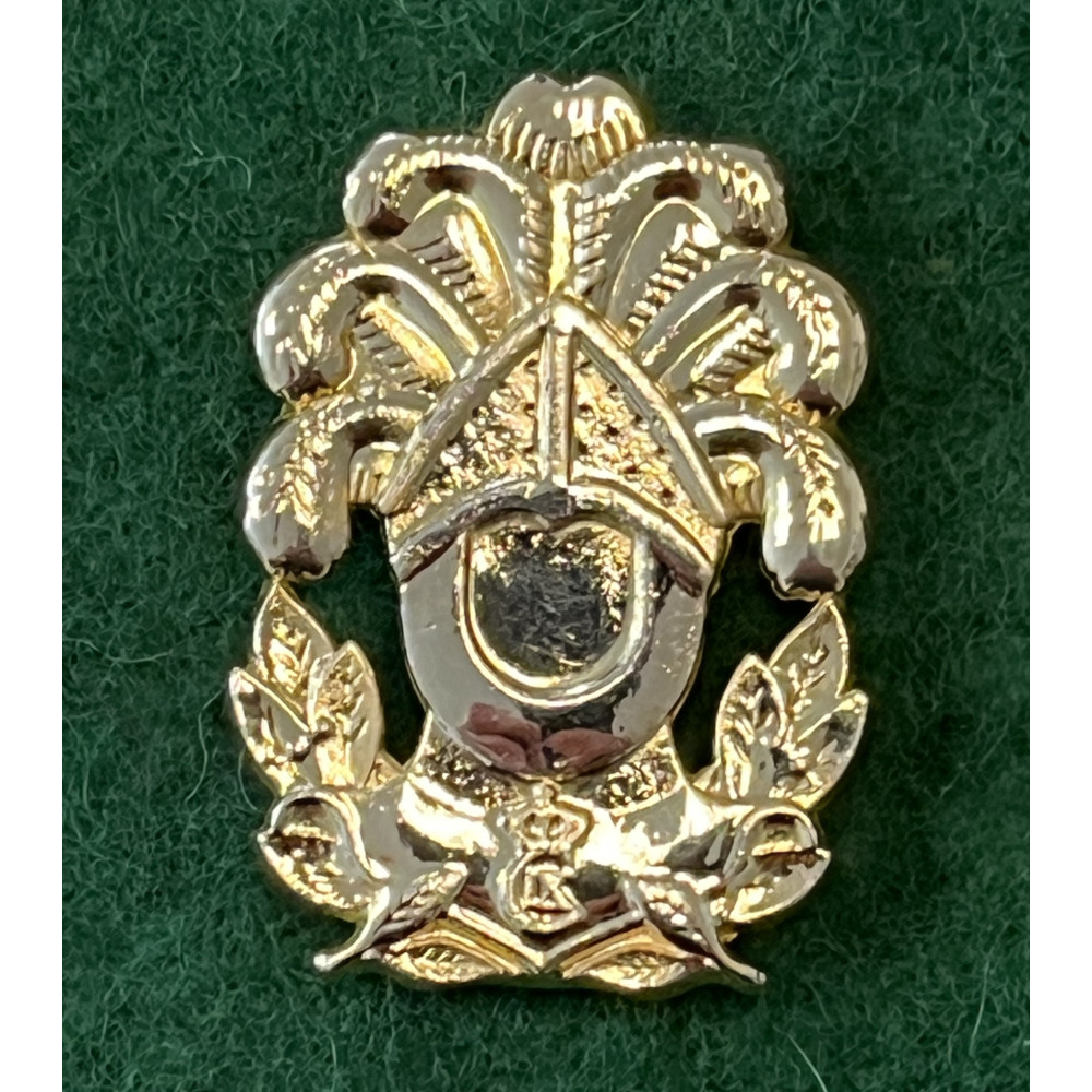 Beret badge, Eastern Regional Region