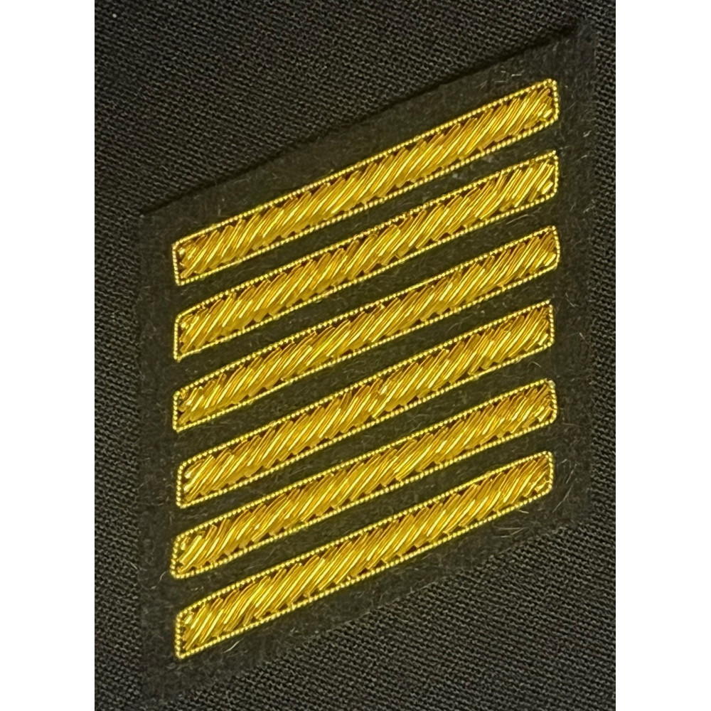 18 års anciennitetsmærke til Selskabsuniform