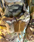 Phoenix – Mag Dump Pouch, Medium, MultiCam