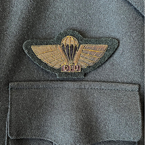 DFU Education Level Bronze parachute wings, Bronze embroidery for uniform M/69